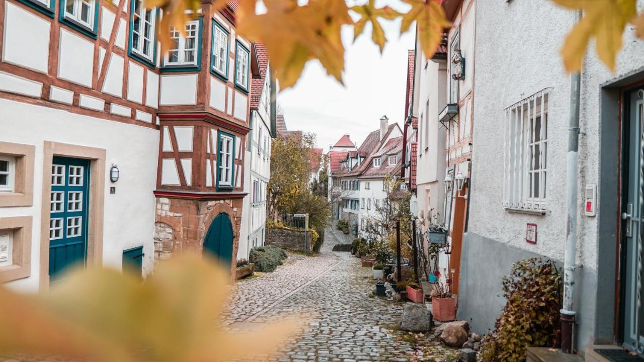 Neckarblick Self Service Hotel Бад Вимпфен Екстериор снимка